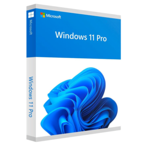 Buy Windows 11 Pro License Key
